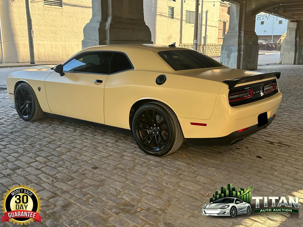 Gallery image 8