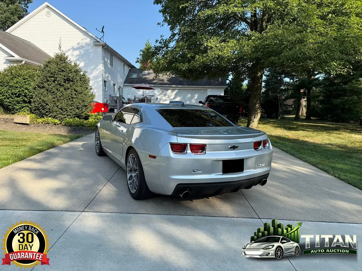 Gallery image 14