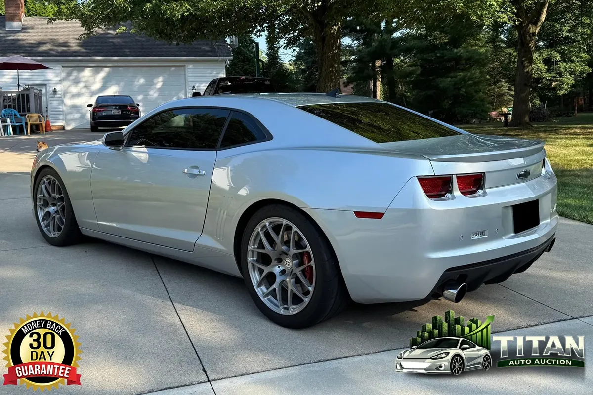 Gallery image 19